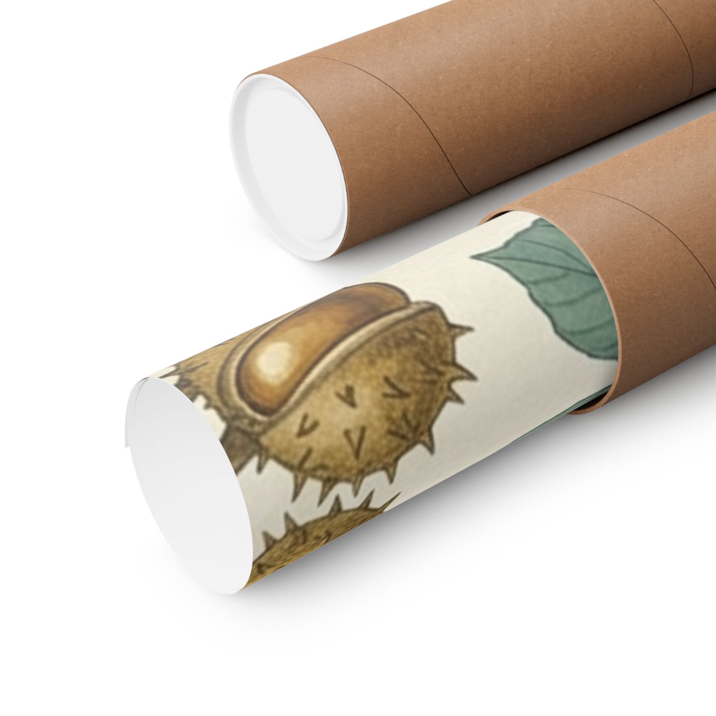 Botanical Conker Watercolor Matte Vertical Poster