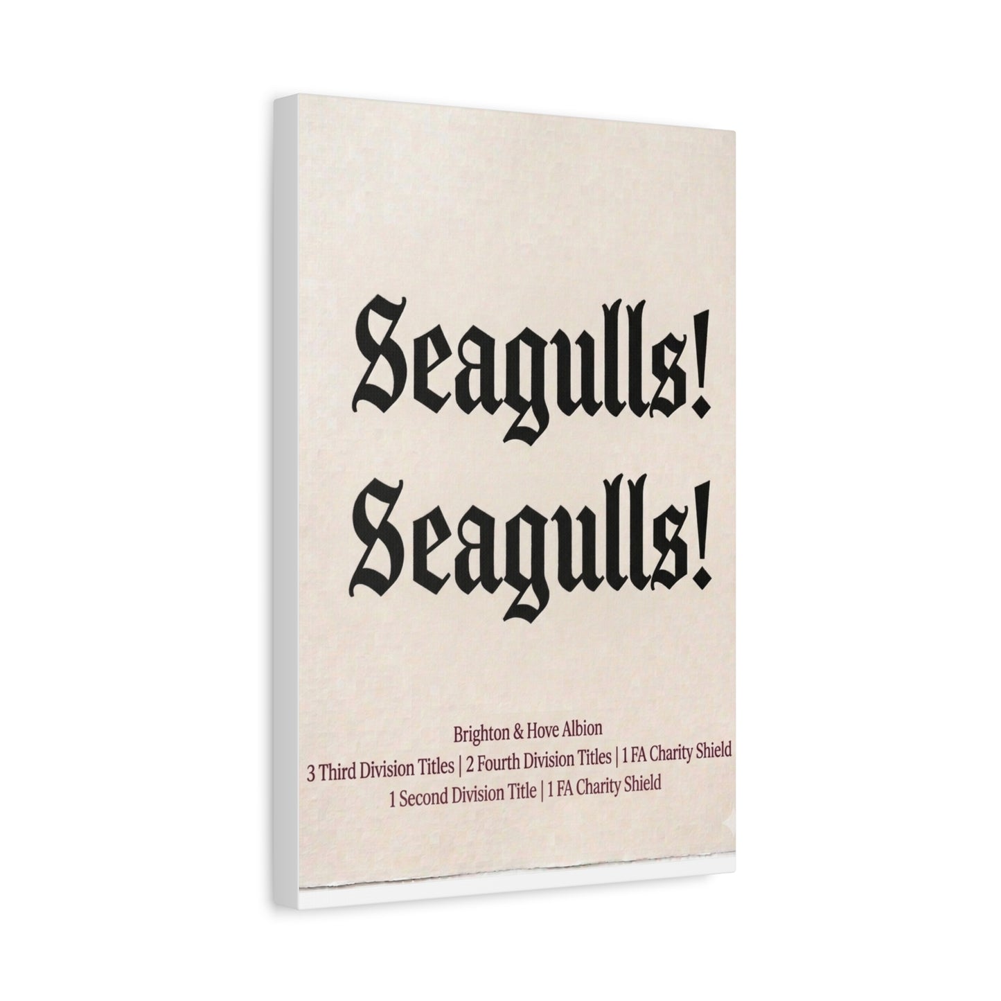 Brighton & Hove 'Seagulls! Seagulls!' Match Day Canvas Print