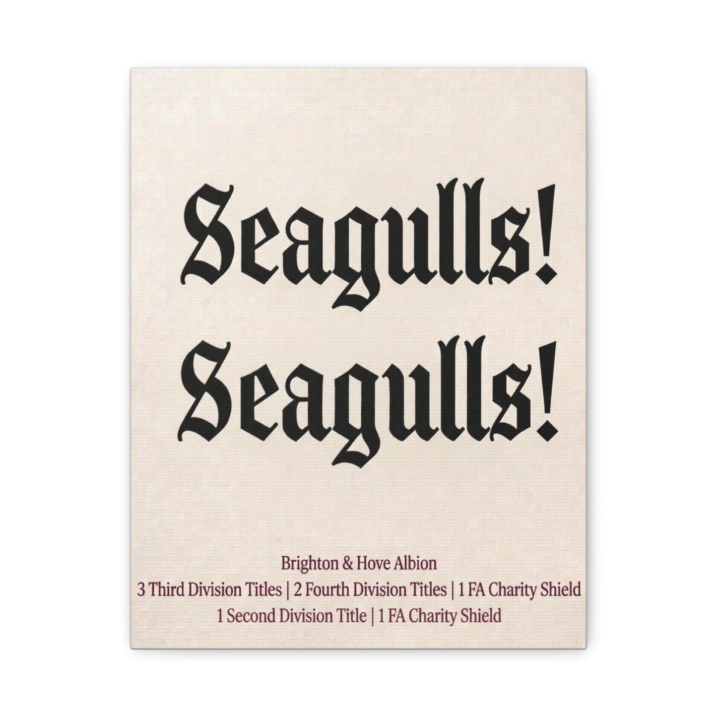 Brighton & Hove 'Seagulls! Seagulls!' Match Day Canvas Print