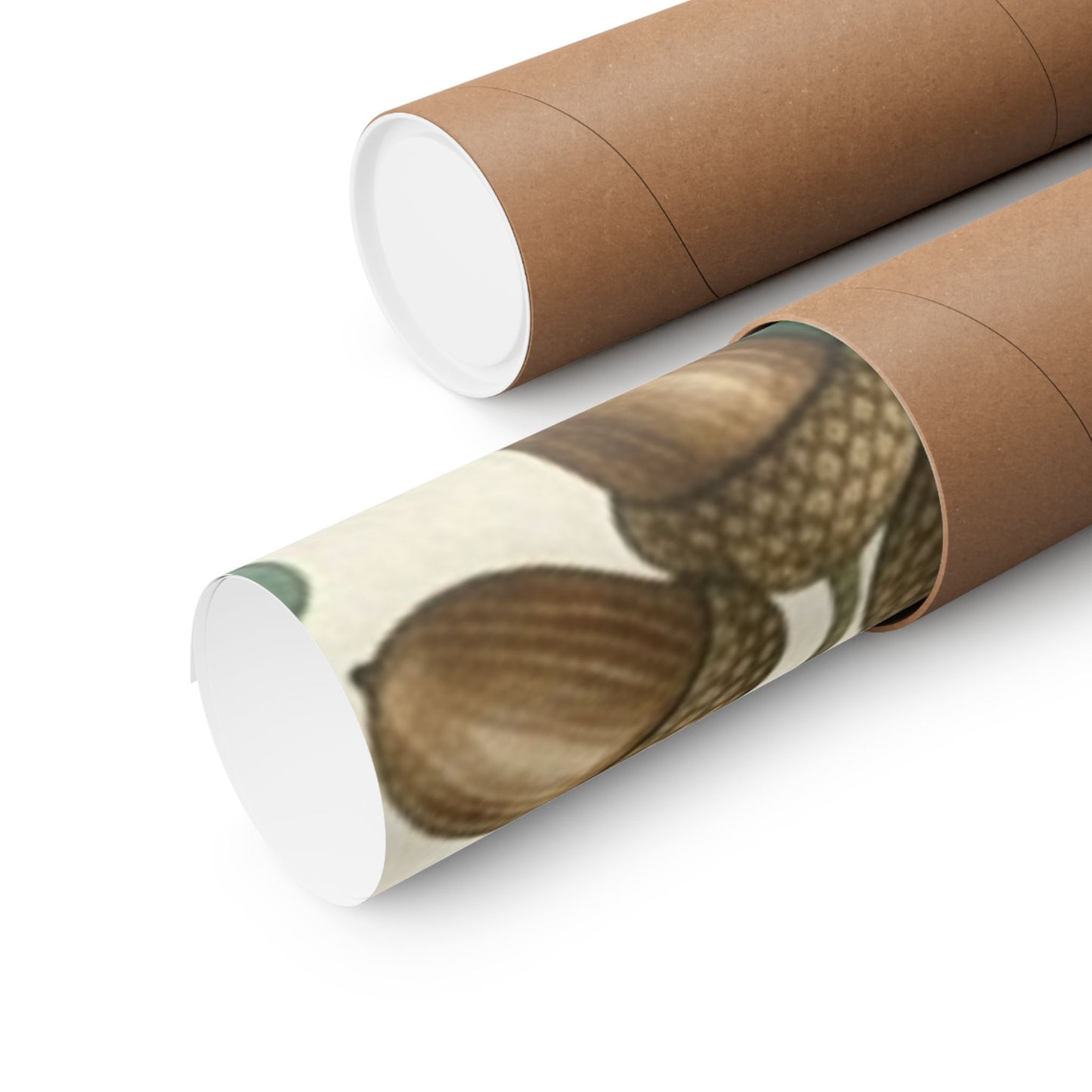 Botanical Oak & Acorns Watercolor Matte Vertical Poster