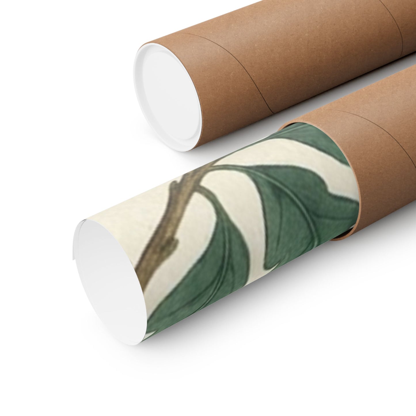 Botanical Oak & Acorns Watercolor Matte Vertical Poster