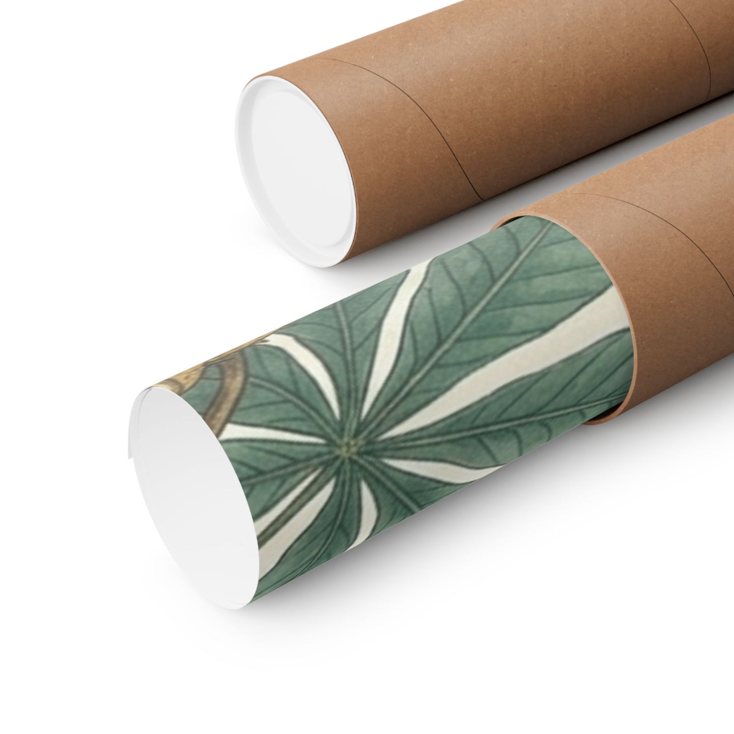 Botanical Conker Watercolor Matte Vertical Poster