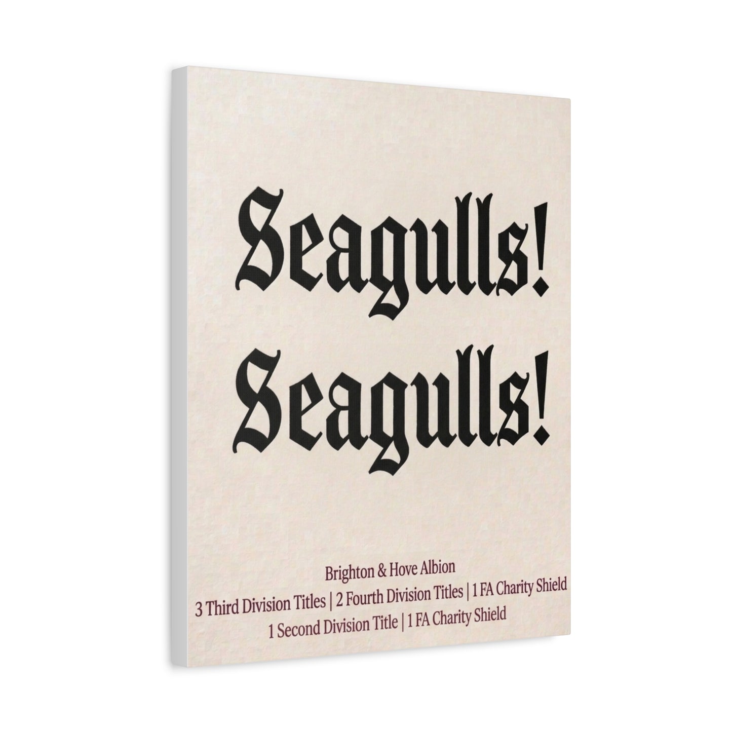 Brighton & Hove 'Seagulls! Seagulls!' Match Day Canvas Print