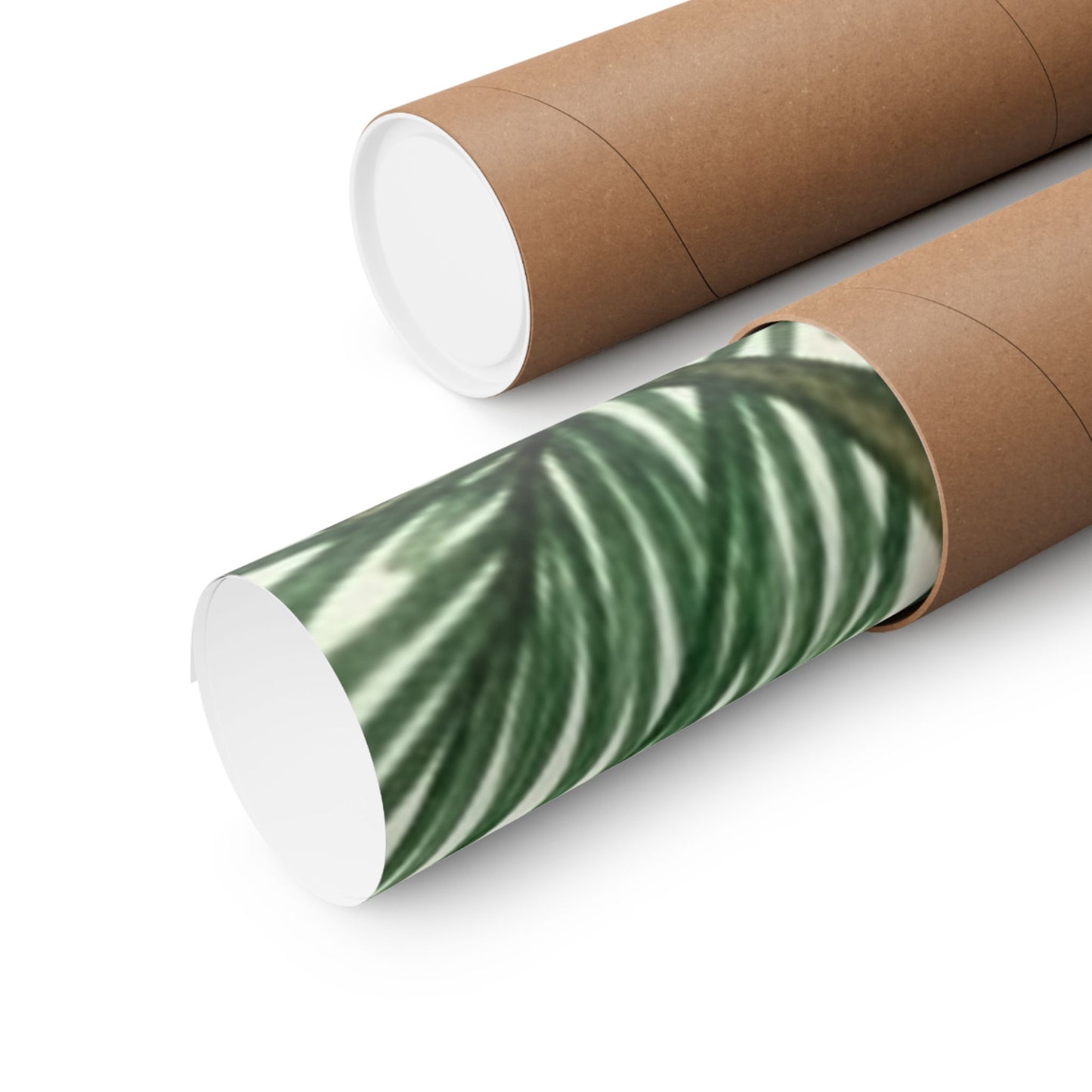 Botanical Pine Frongs Watercolor Matte Vertical Poster