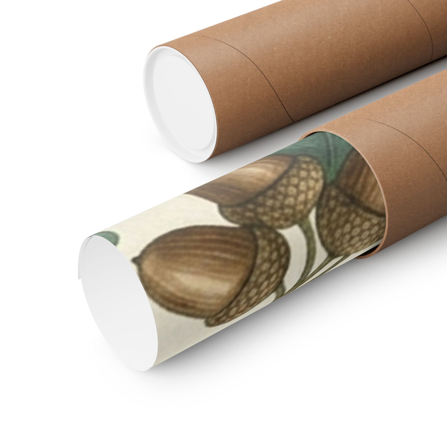Botanical Oak & Acorns Watercolor Matte Vertical Poster