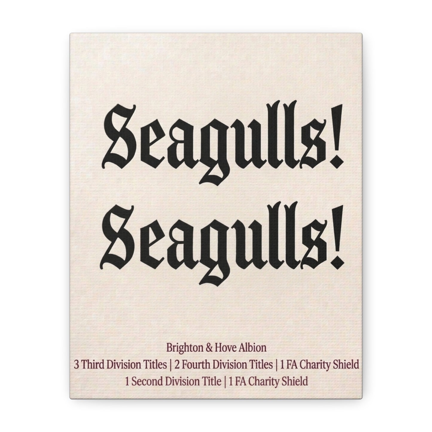 Brighton & Hove 'Seagulls! Seagulls!' Match Day Canvas Print