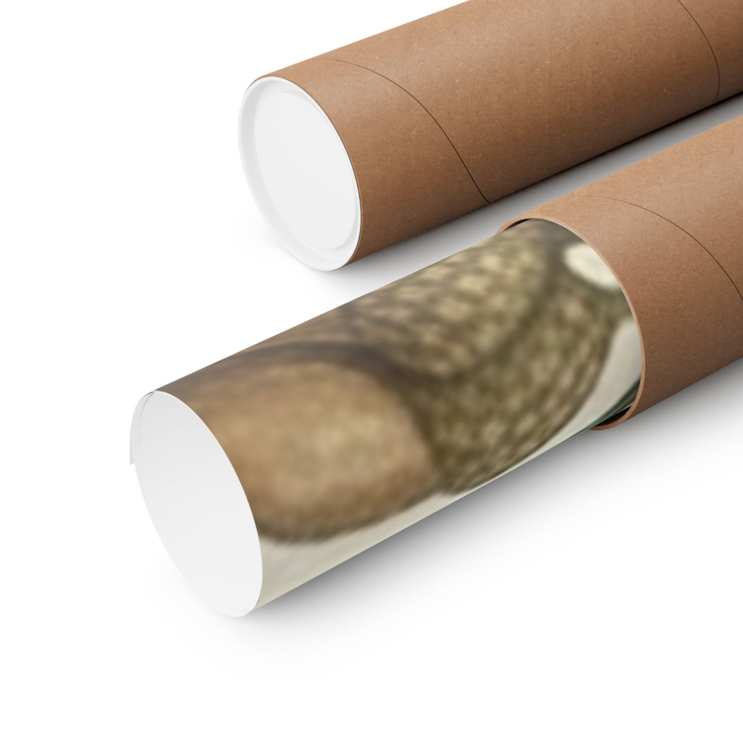 Botanical Oak & Acorns Watercolor Matte Vertical Poster