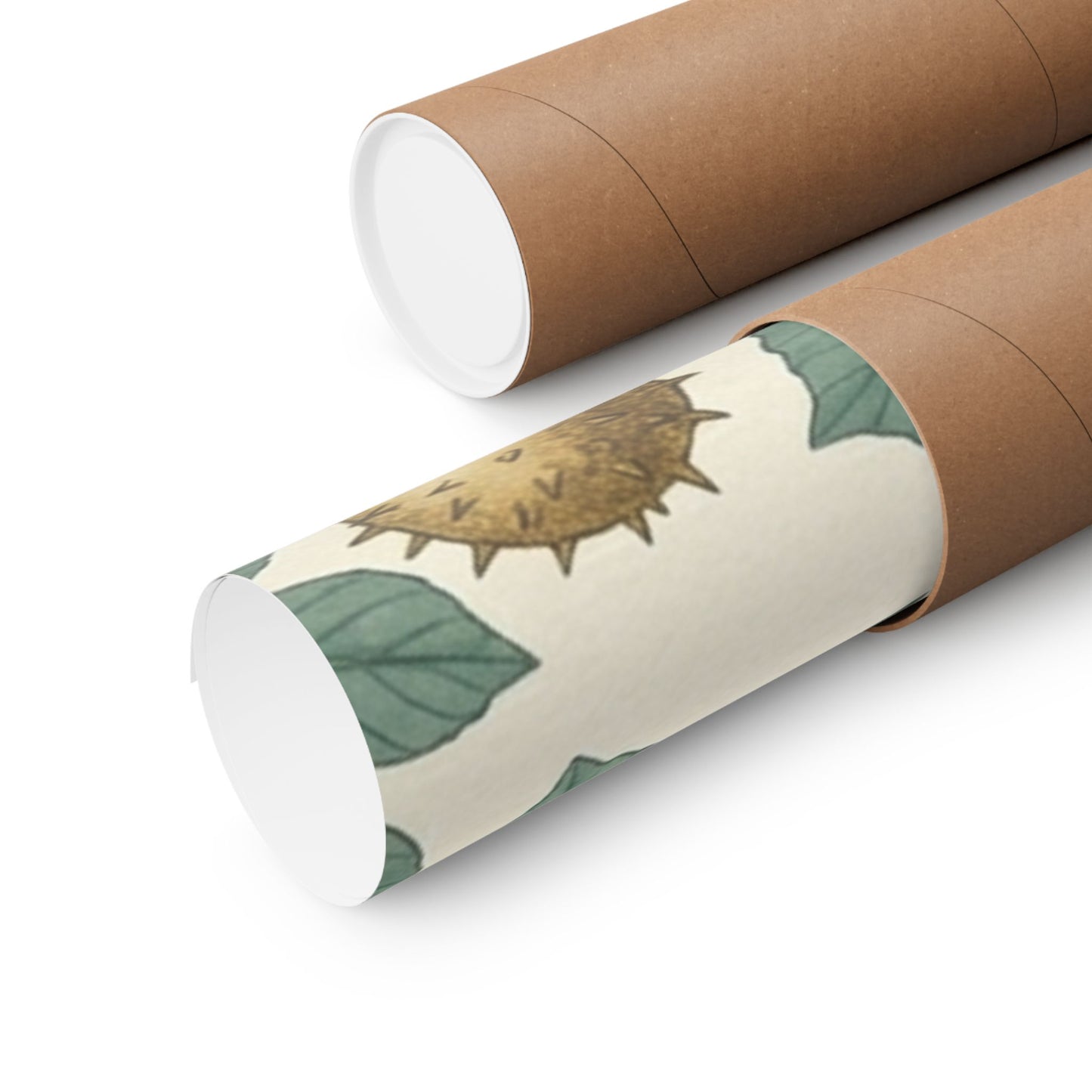 Botanical Conker Watercolor Matte Vertical Poster