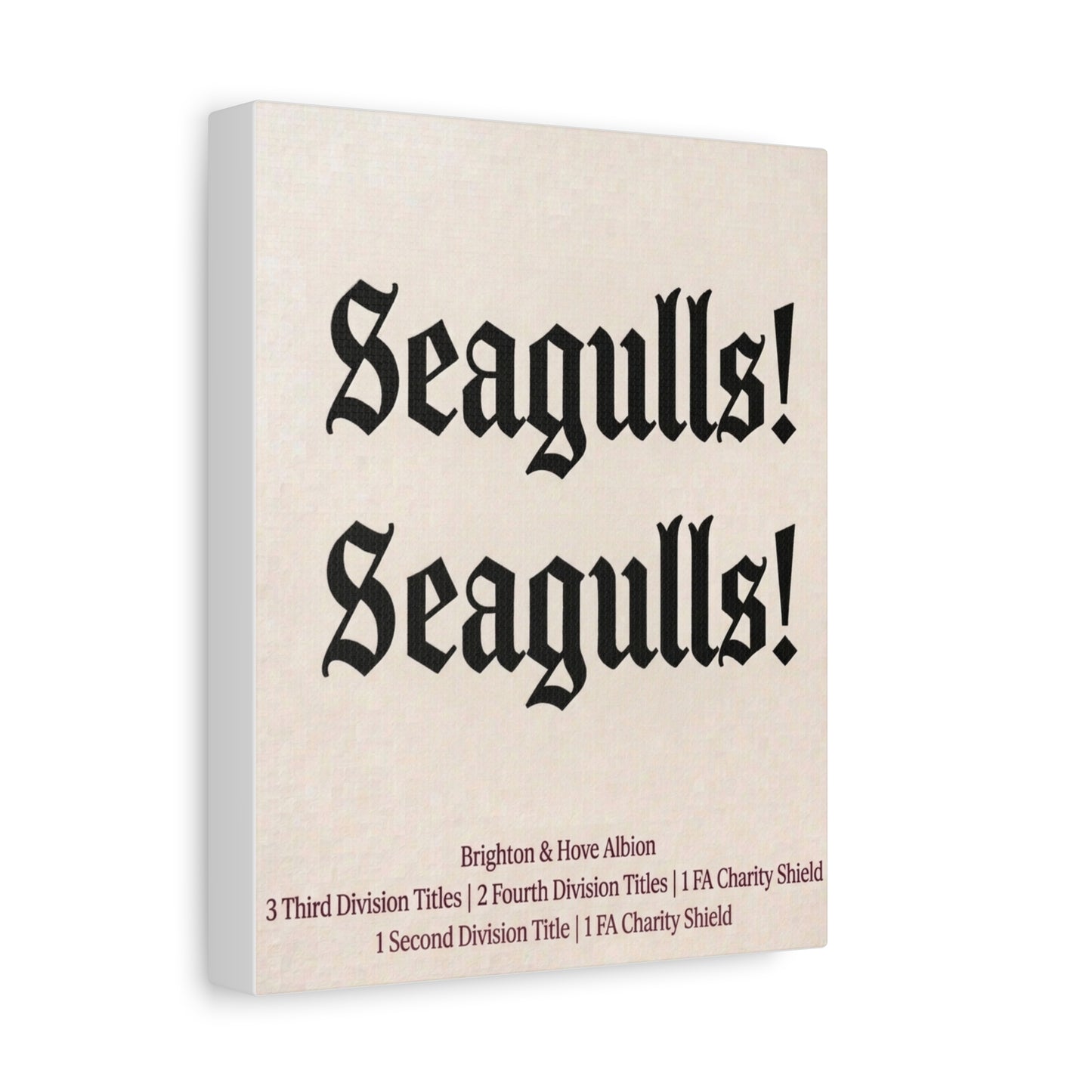Brighton & Hove 'Seagulls! Seagulls!' Match Day Canvas Print