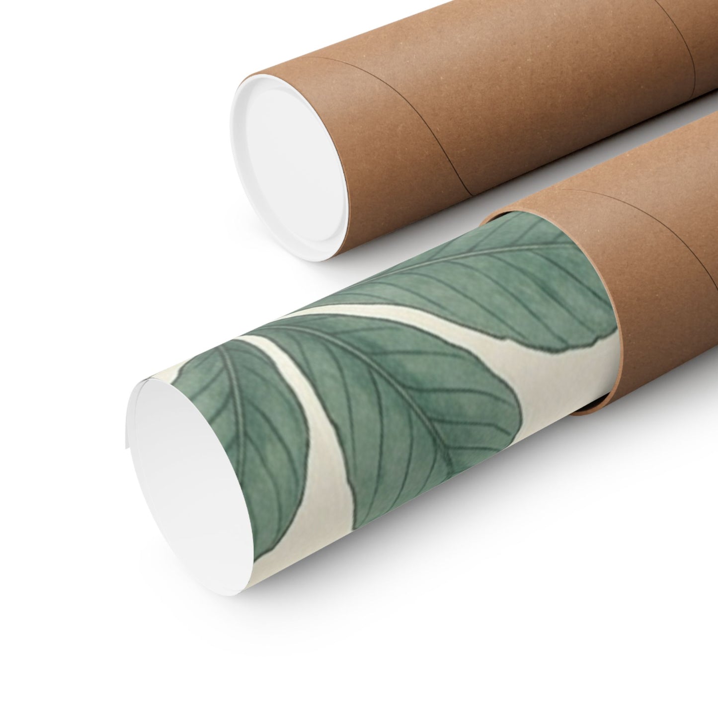 Botanical Conker Watercolor Matte Vertical Poster