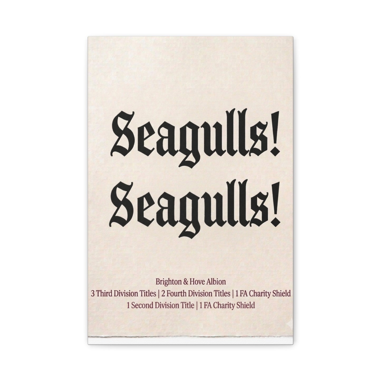 Brighton & Hove 'Seagulls! Seagulls!' Match Day Canvas Print