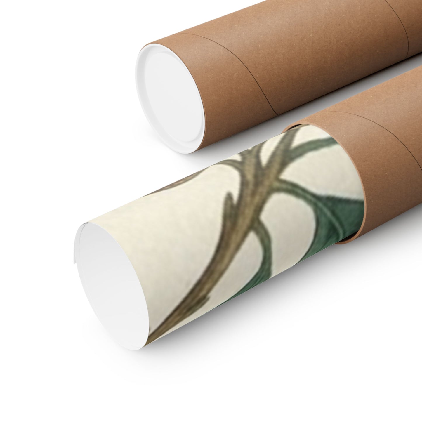 Botanical Oak & Acorns Watercolor Matte Vertical Poster