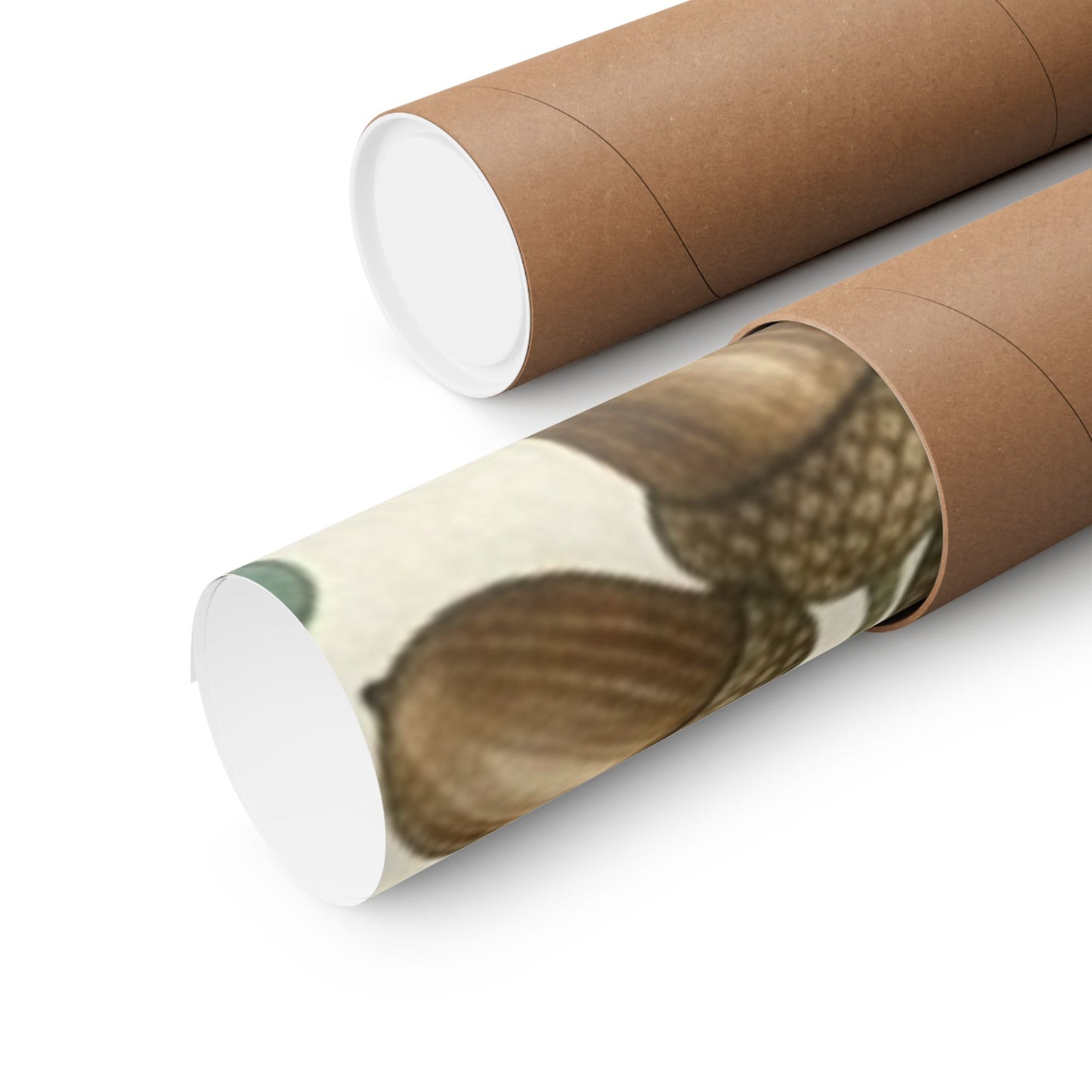 Botanical Oak & Acorns Watercolor Matte Vertical Poster