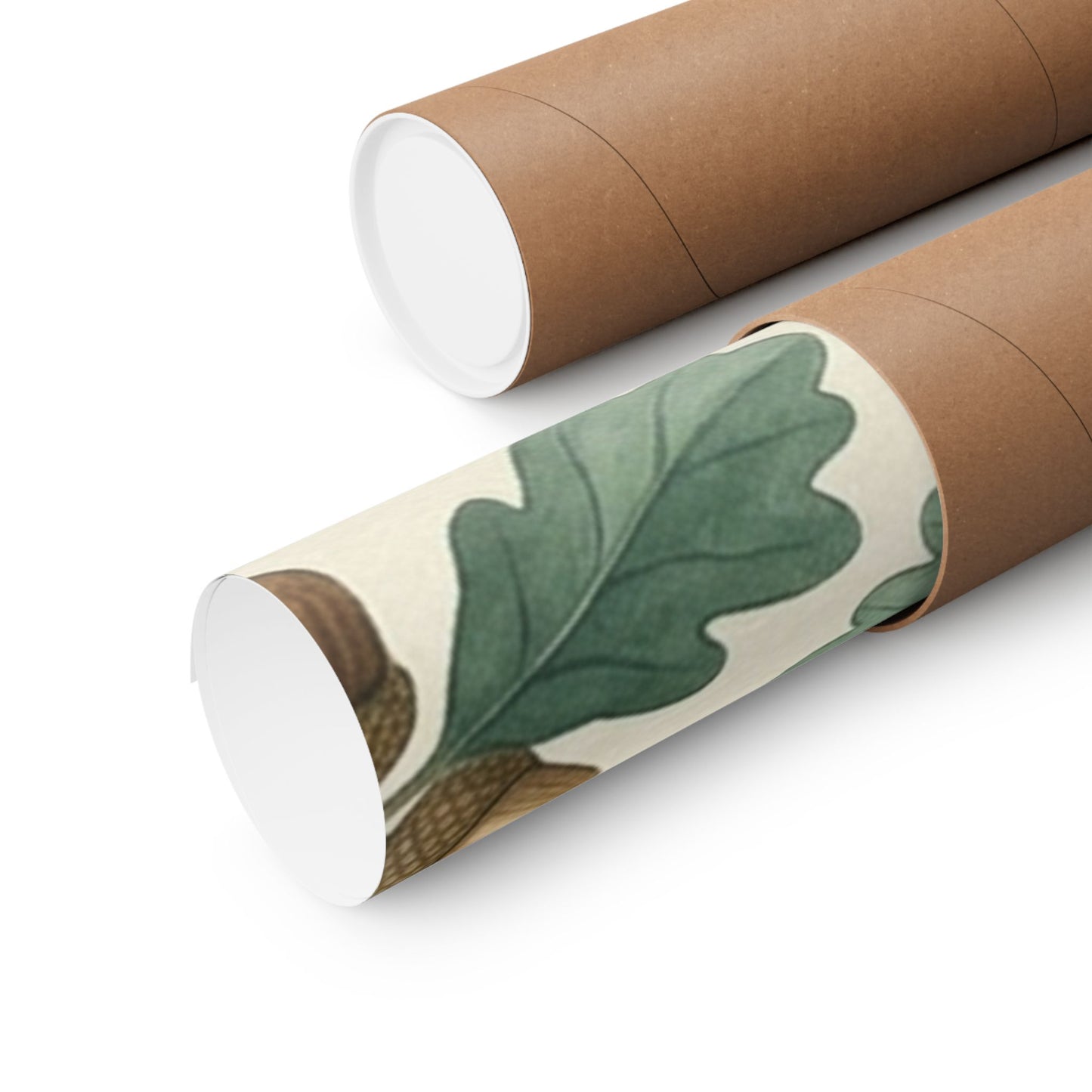 Botanical Oak & Acorns Watercolor Matte Vertical Poster