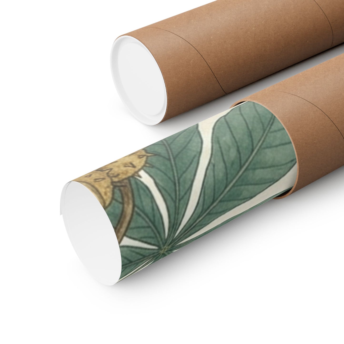 Botanical Conker Watercolor Matte Vertical Poster