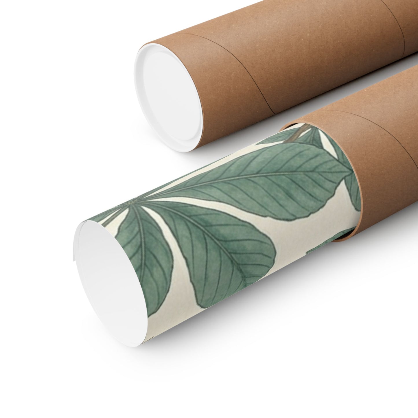 Botanical Conker Watercolor Matte Vertical Poster