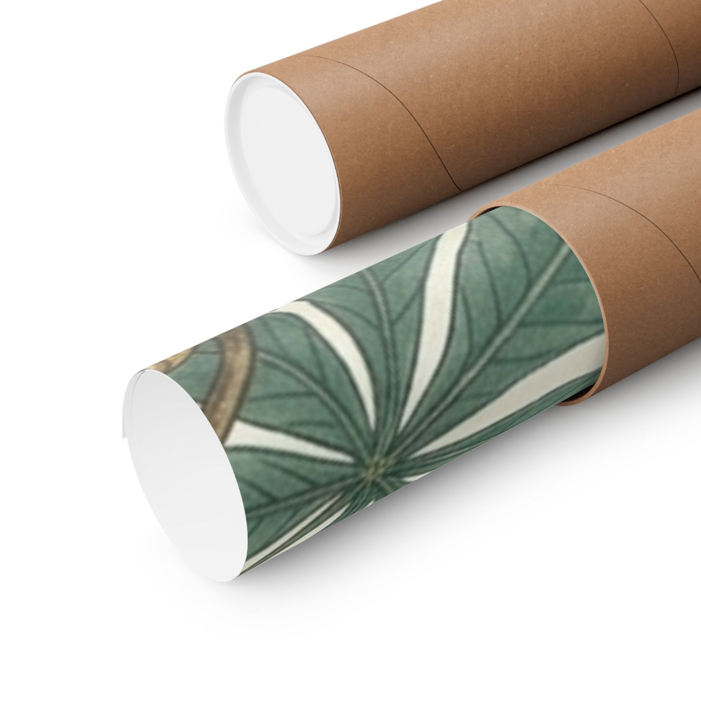 Botanical Conker Watercolor Matte Vertical Poster