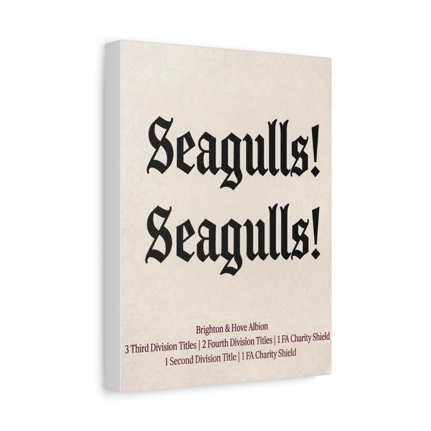 Brighton & Hove 'Seagulls! Seagulls!' Match Day Canvas Print