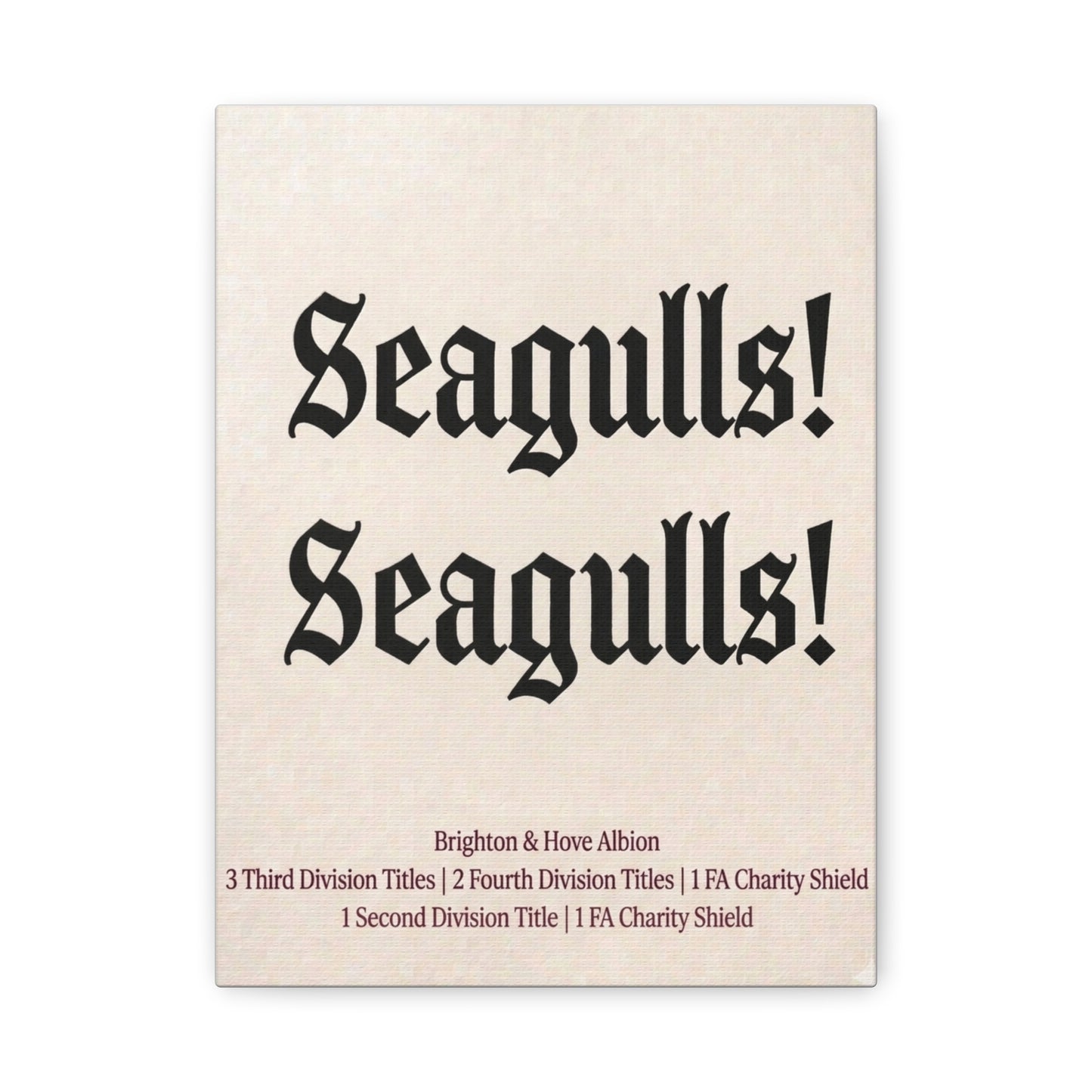 Brighton & Hove 'Seagulls! Seagulls!' Match Day Canvas Print