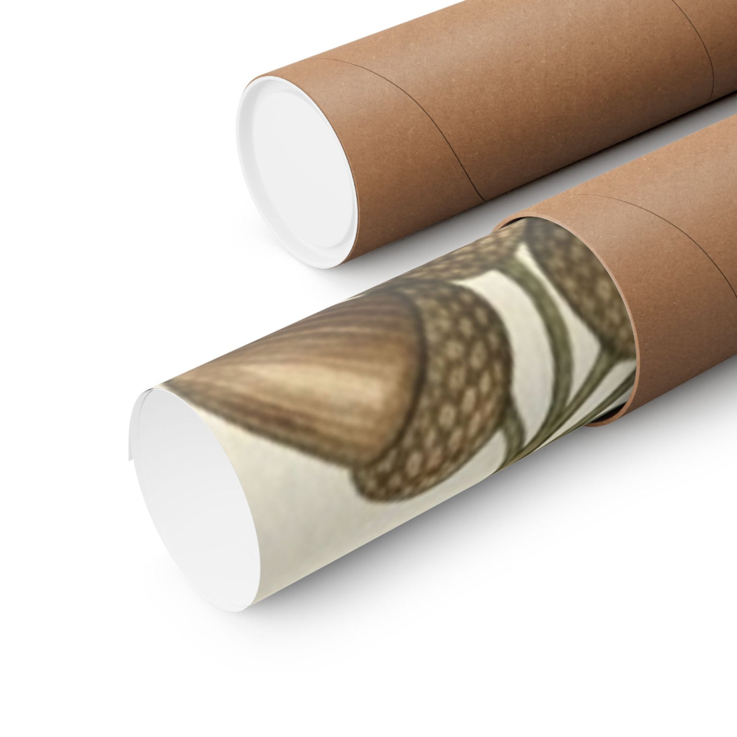 Botanical Oak & Acorns Watercolor Matte Vertical Poster