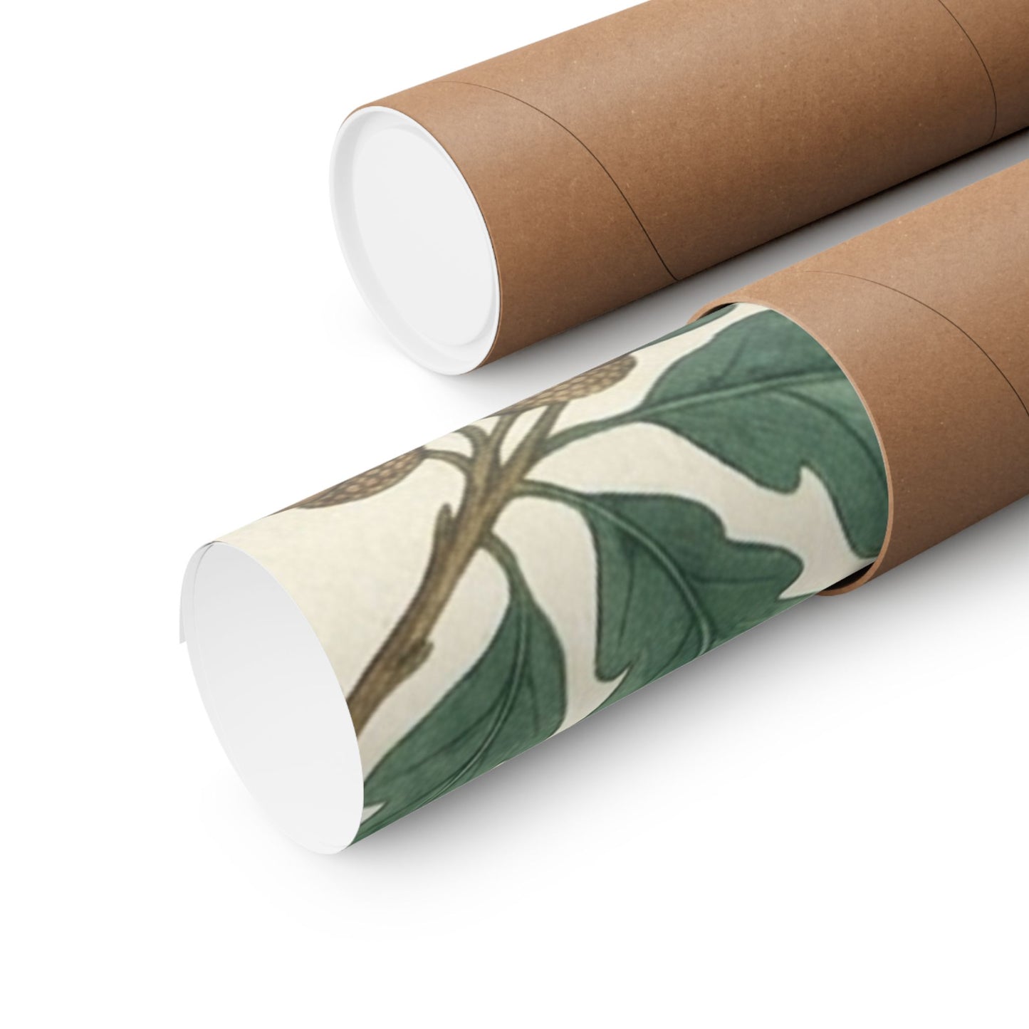 Botanical Oak & Acorns Watercolor Matte Vertical Poster