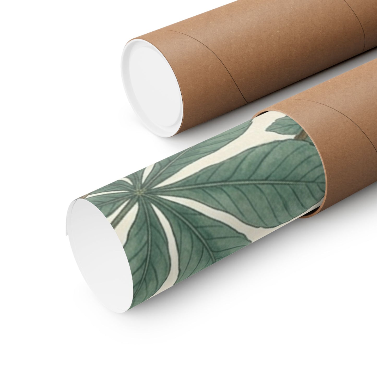 Botanical Conker Watercolor Matte Vertical Poster