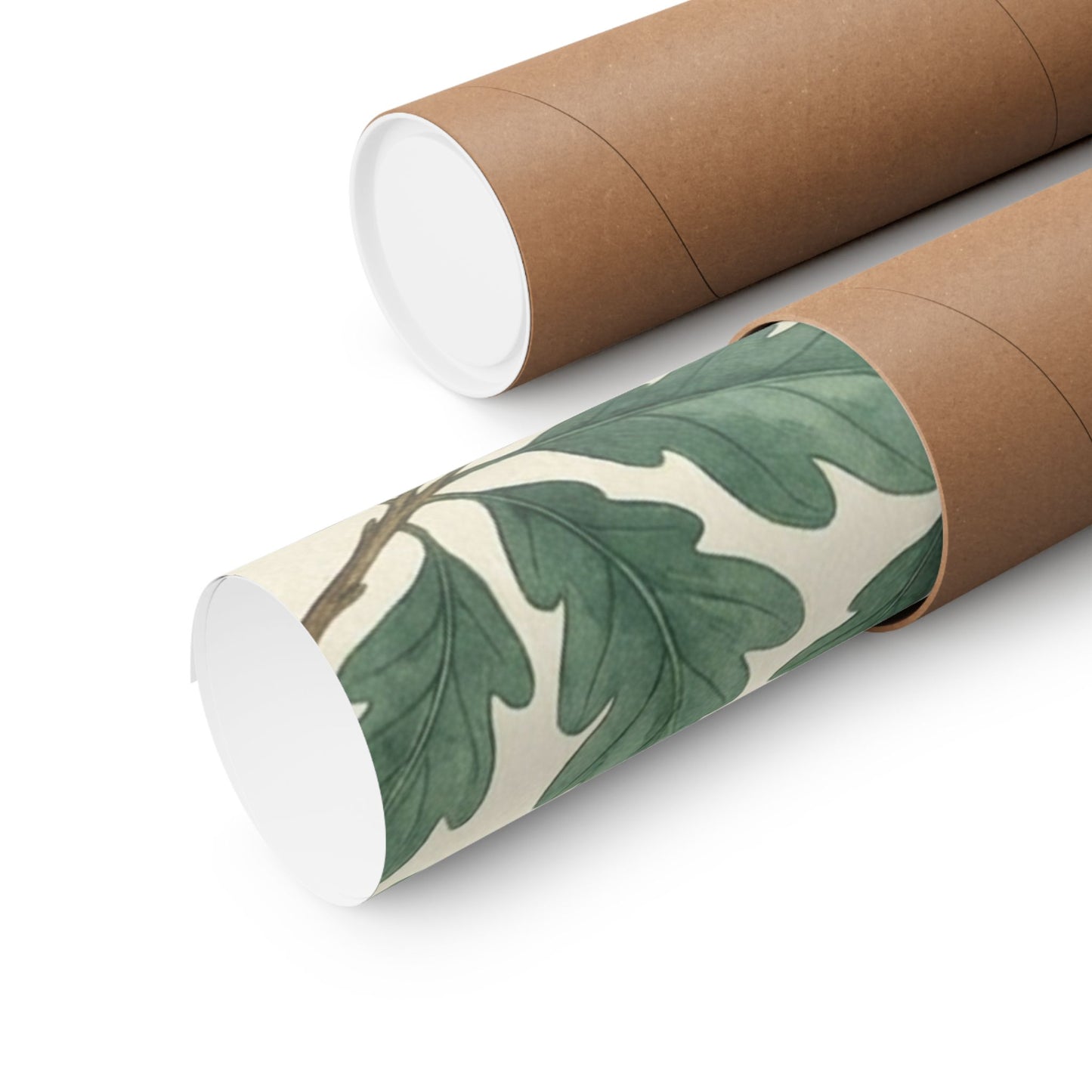 Botanical Oak & Acorns Watercolor Matte Vertical Poster