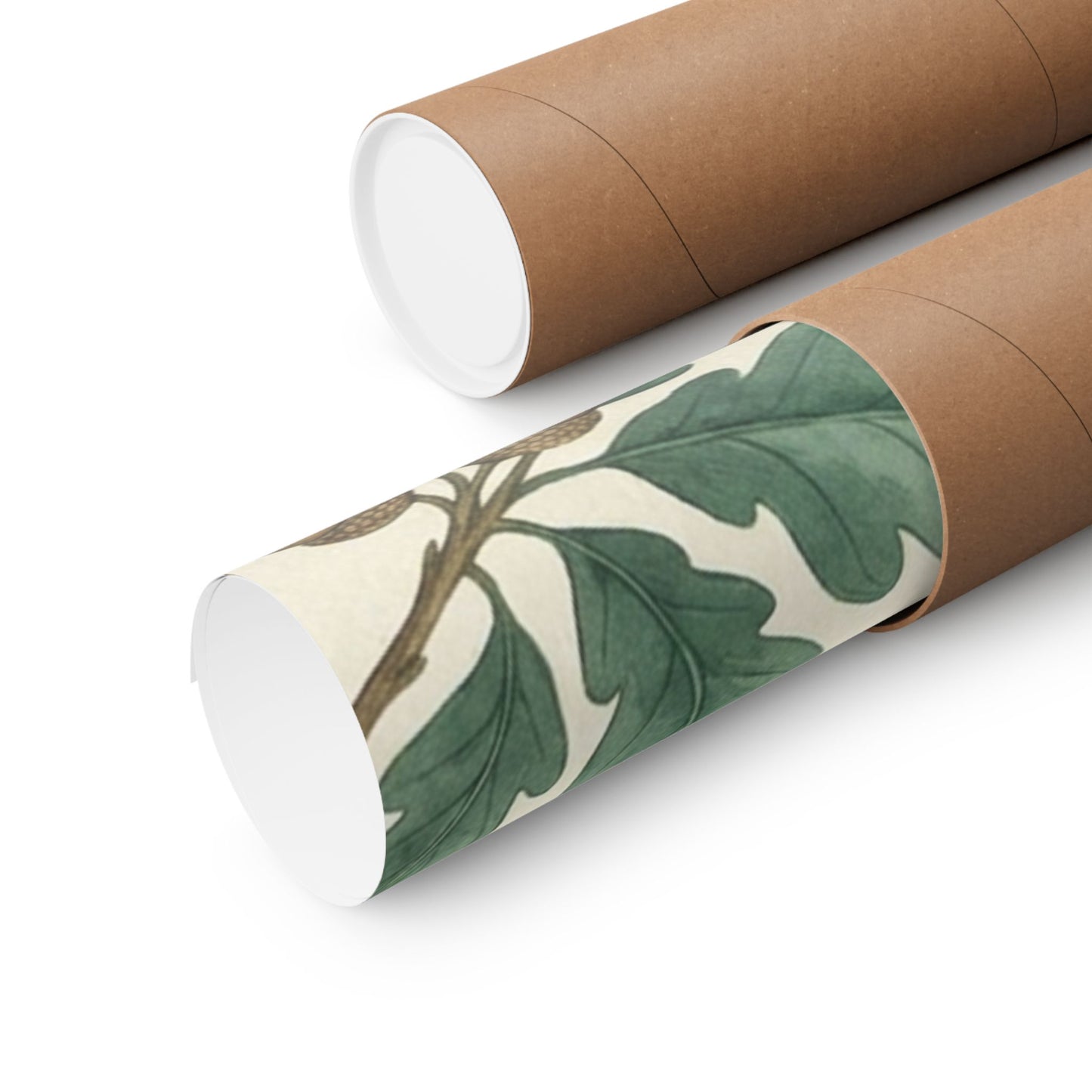 Botanical Oak & Acorns Watercolor Matte Vertical Poster