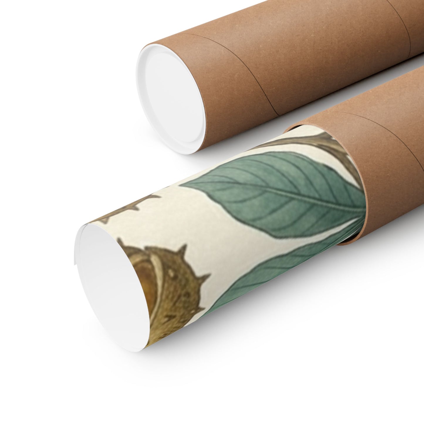 Botanical Conker Watercolor Matte Vertical Poster