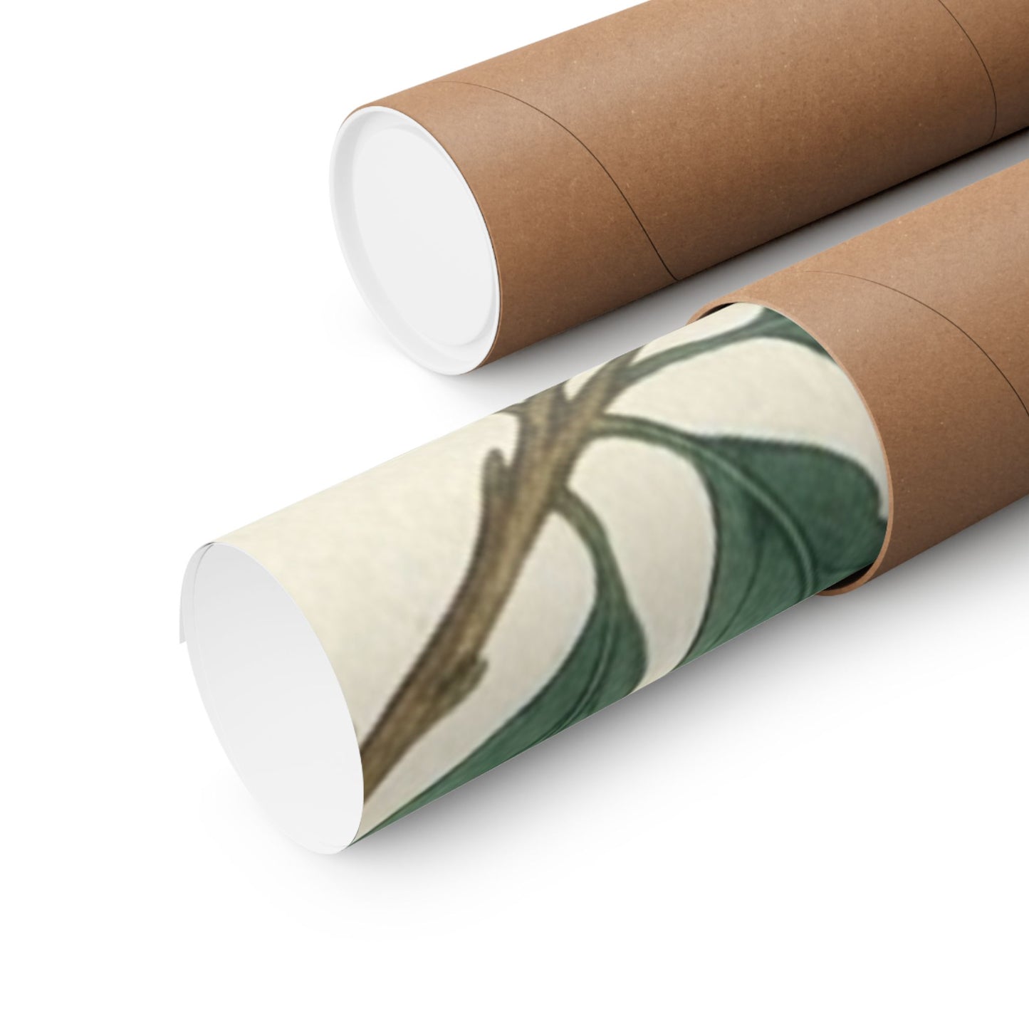 Botanical Oak & Acorns Watercolor Matte Vertical Poster