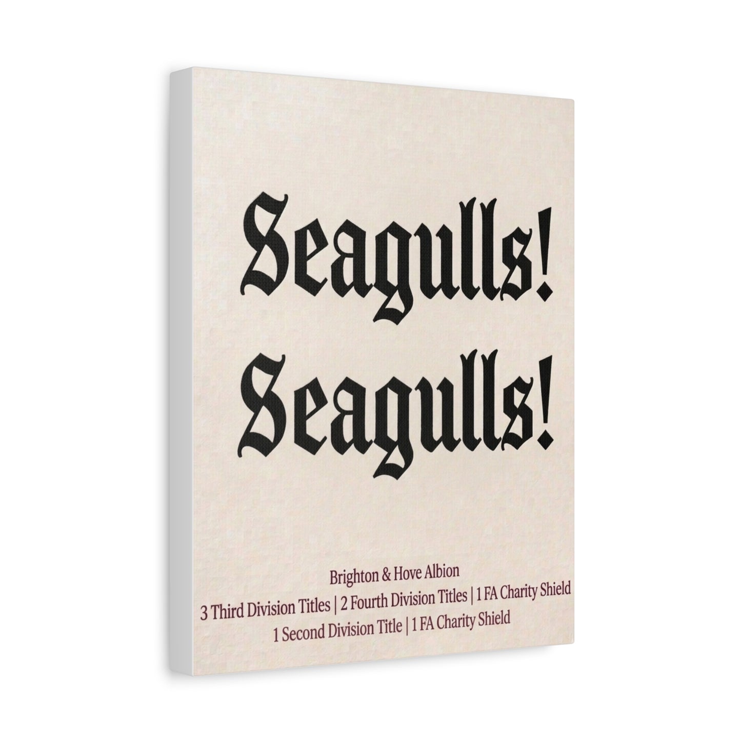 Brighton & Hove 'Seagulls! Seagulls!' Match Day Canvas Print