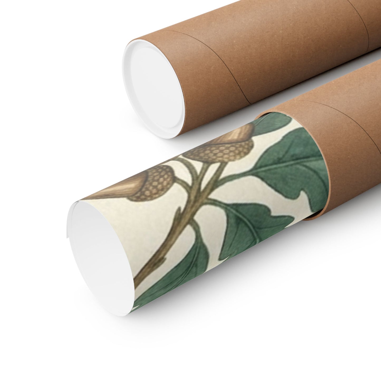 Botanical Oak & Acorns Watercolor Matte Vertical Poster