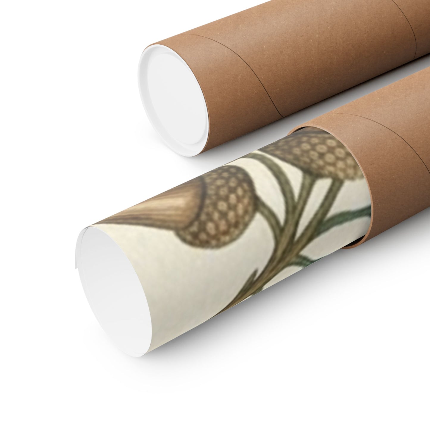 Botanical Oak & Acorns Watercolor Matte Vertical Poster