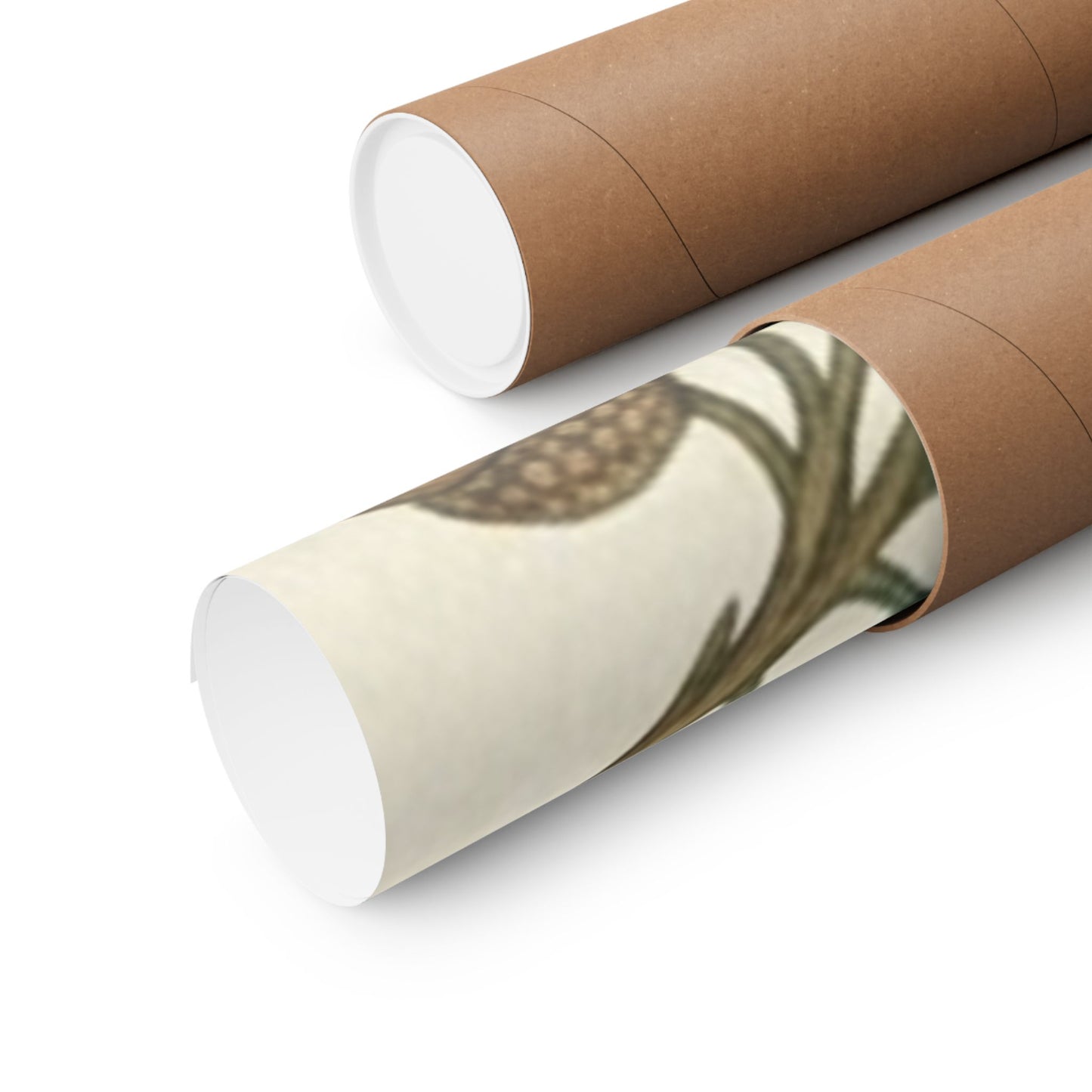 Botanical Oak & Acorns Watercolor Matte Vertical Poster