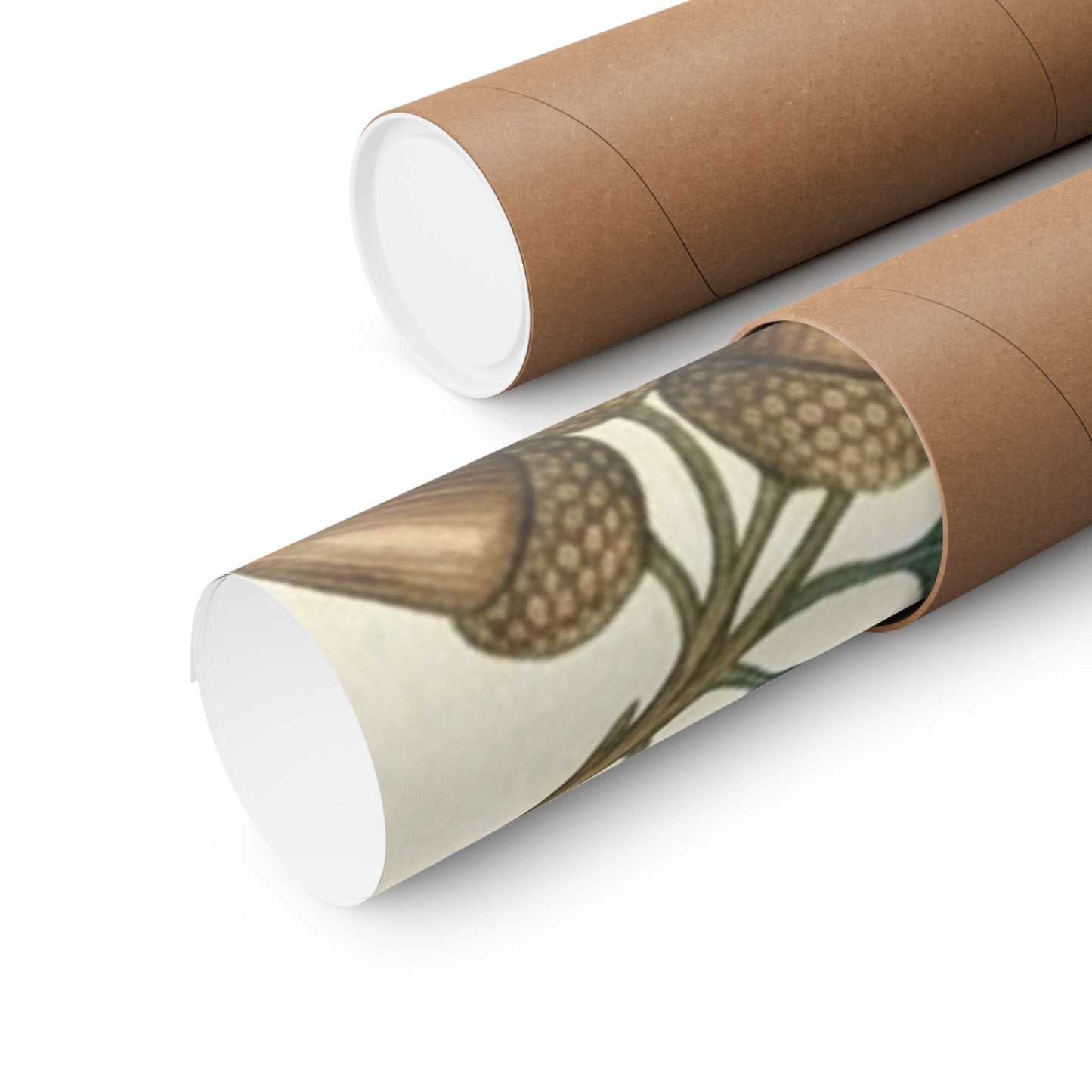 Botanical Oak & Acorns Watercolor Matte Vertical Poster