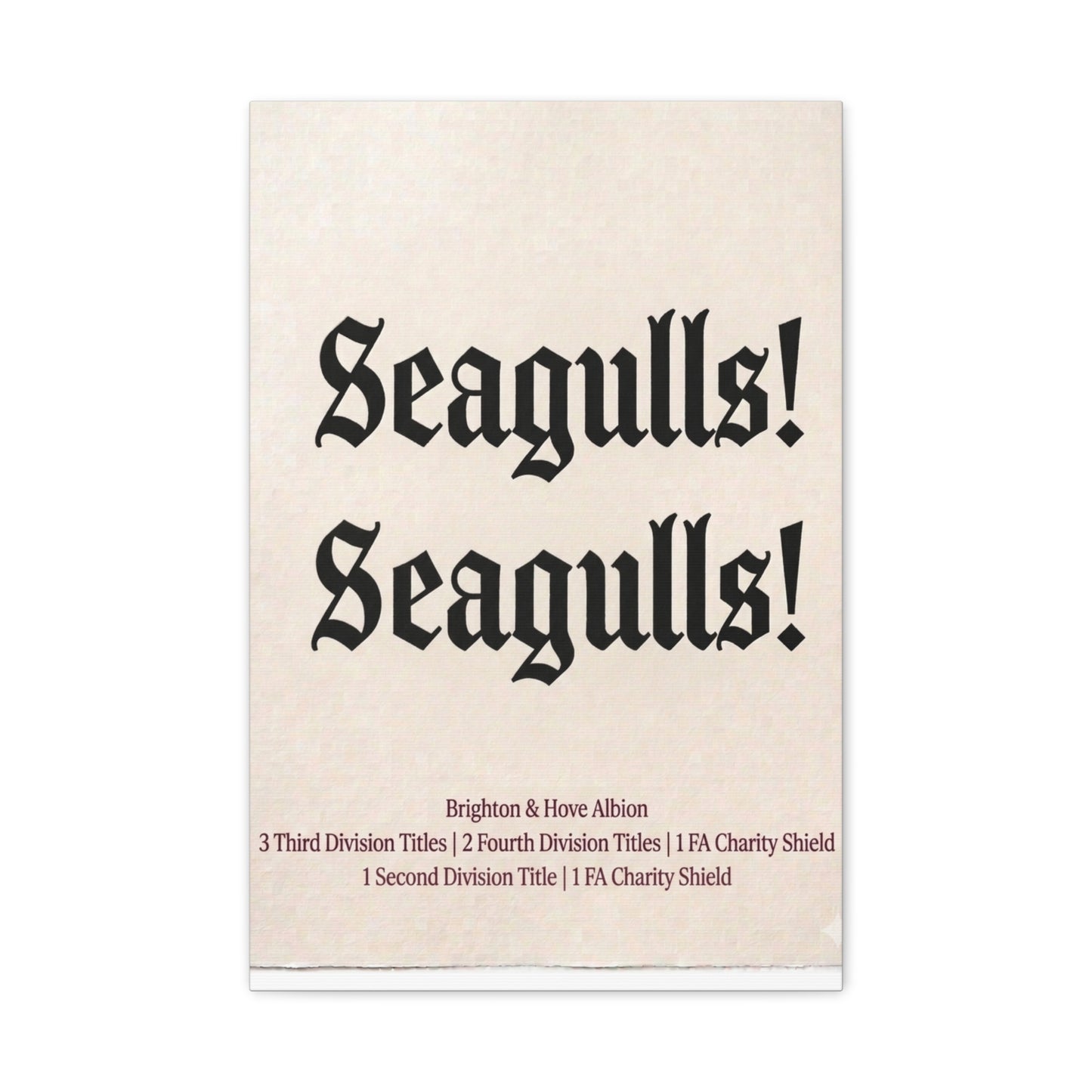 Brighton & Hove 'Seagulls! Seagulls!' Match Day Canvas Print