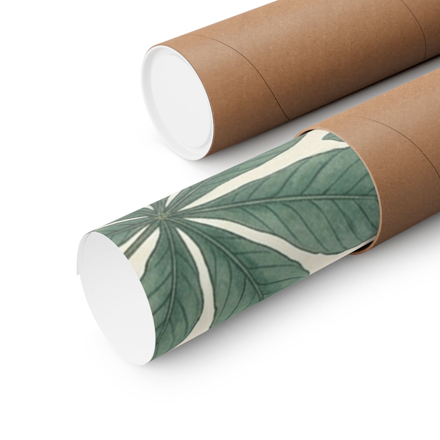 Botanical Conker Watercolor Matte Vertical Poster