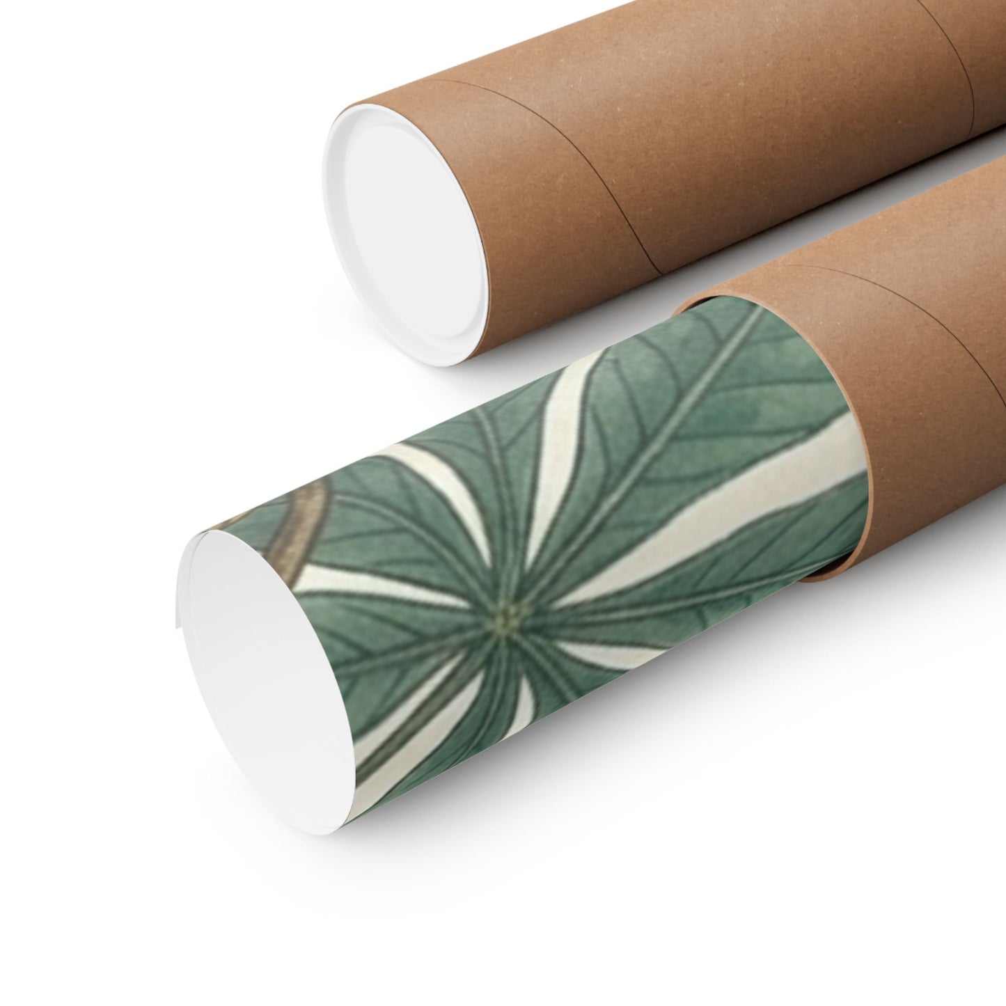 Botanical Conker Watercolor Matte Vertical Poster