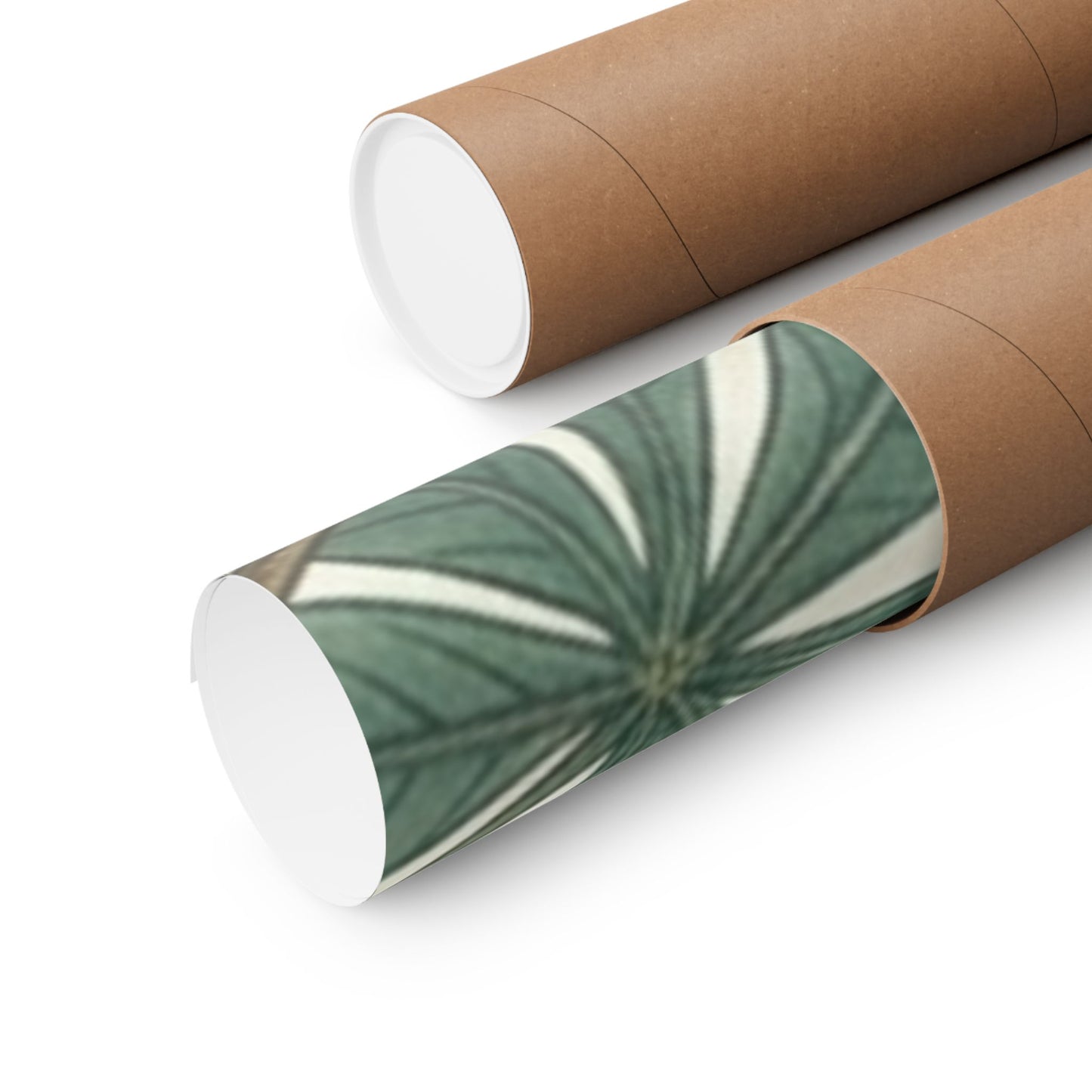 Botanical Conker Watercolor Matte Vertical Poster