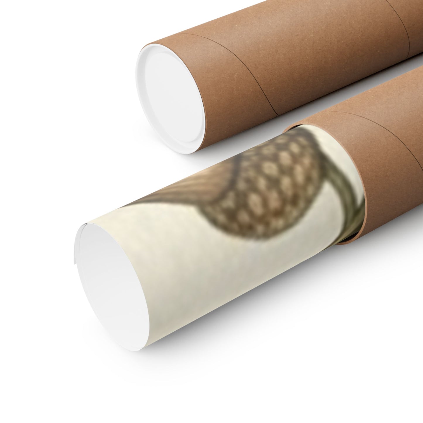 Botanical Oak & Acorns Watercolor Matte Vertical Poster