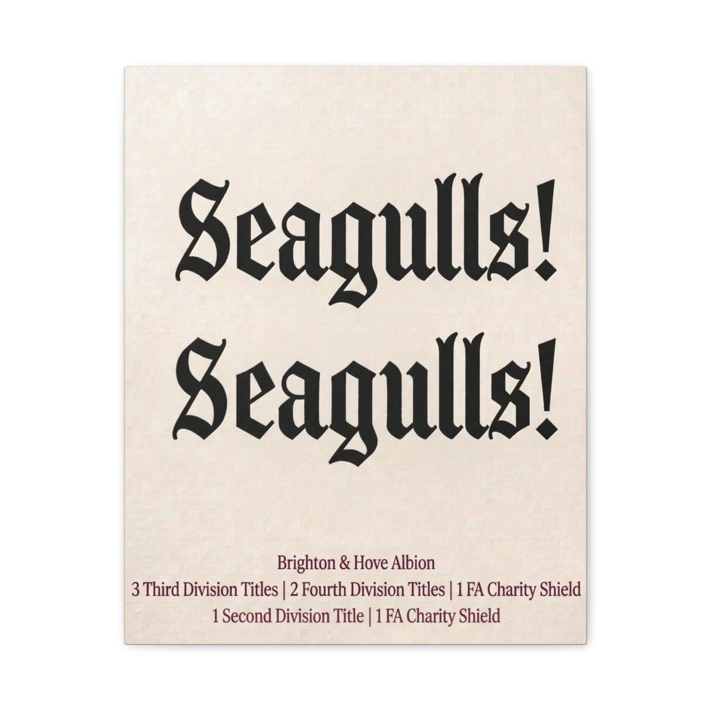 Brighton & Hove 'Seagulls! Seagulls!' Match Day Canvas Print