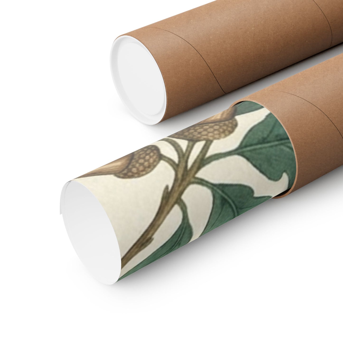 Botanical Oak & Acorns Watercolor Matte Vertical Poster