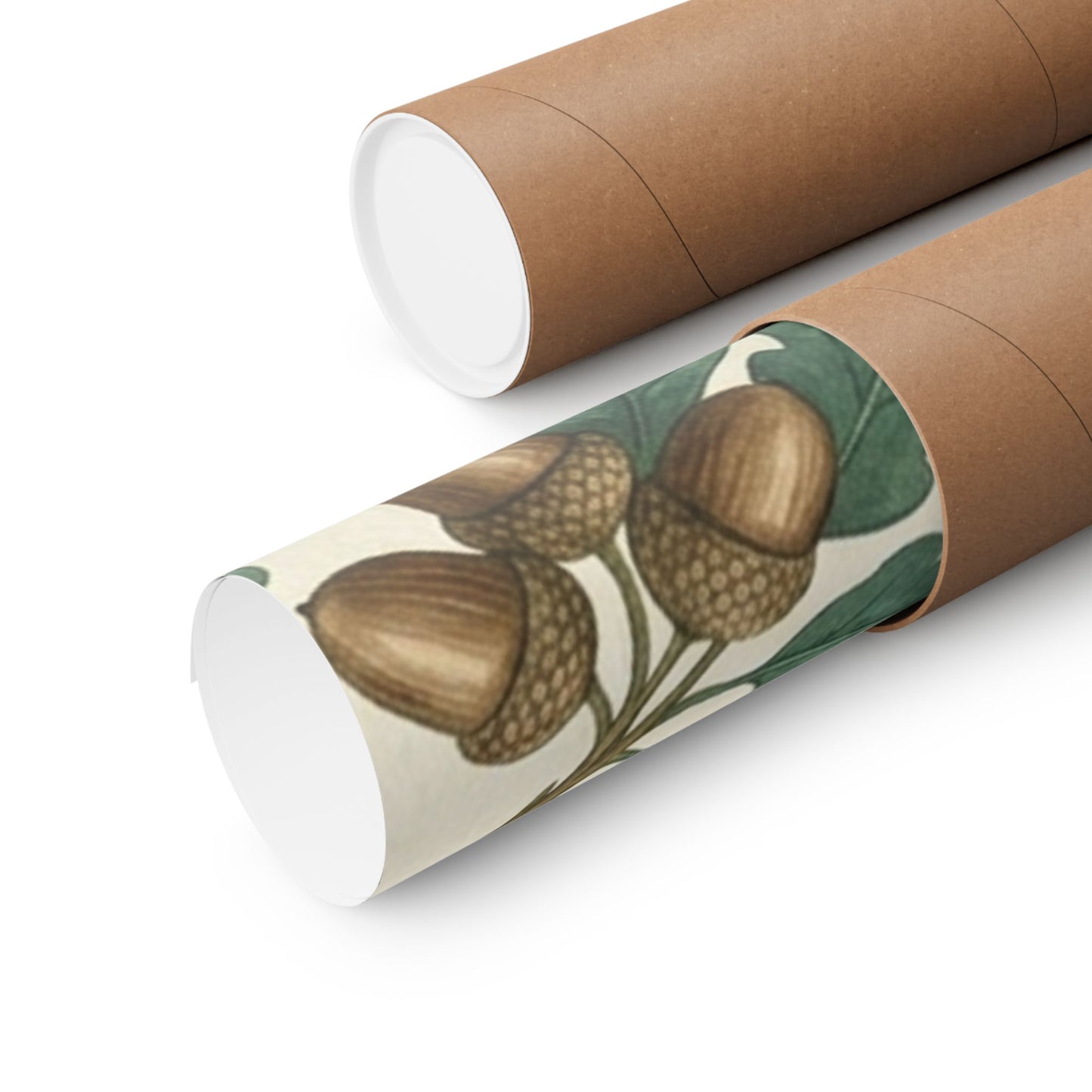 Botanical Oak & Acorns Watercolor Matte Vertical Poster