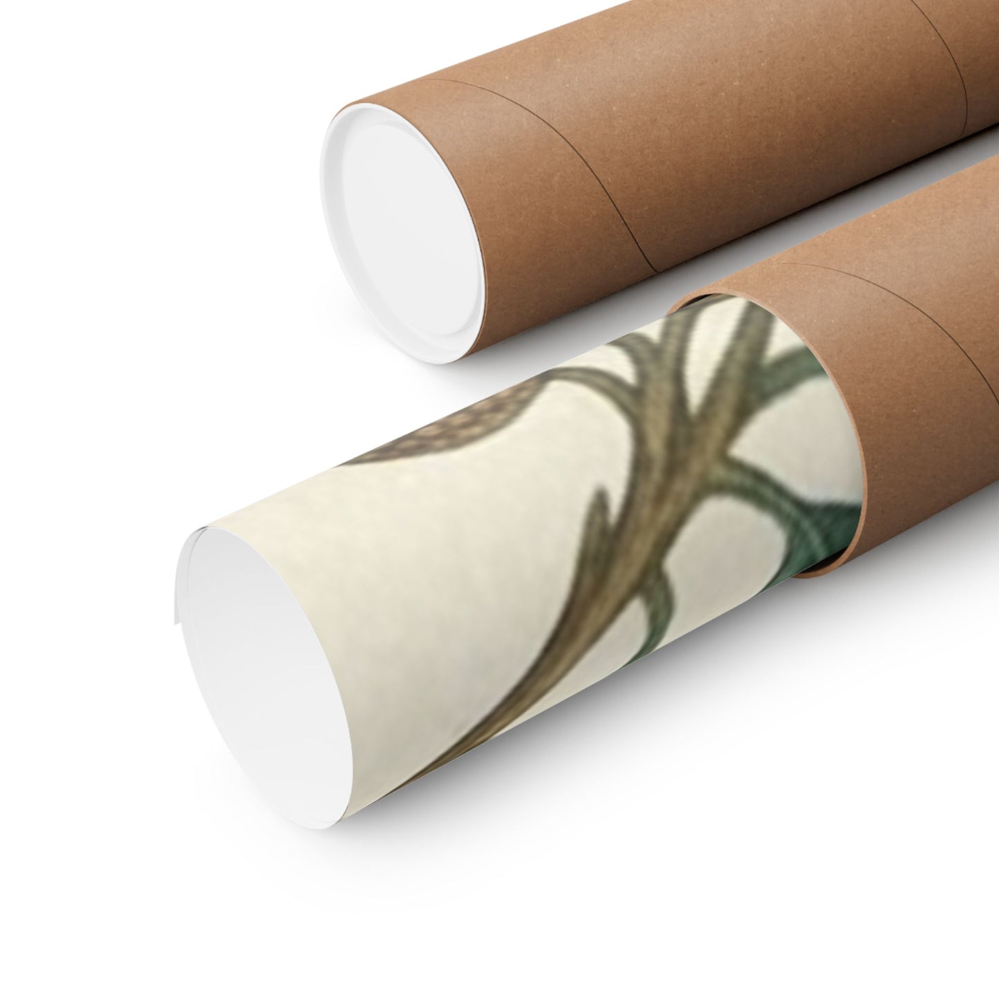 Botanical Oak & Acorns Watercolor Matte Vertical Poster