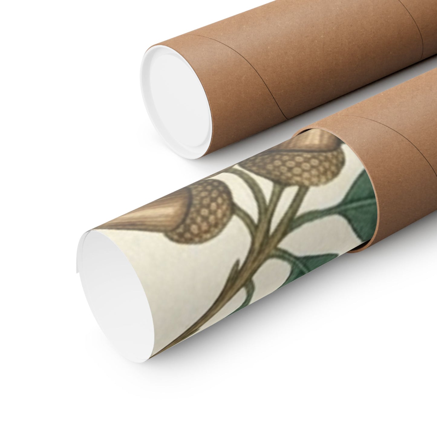 Botanical Oak & Acorns Watercolor Matte Vertical Poster