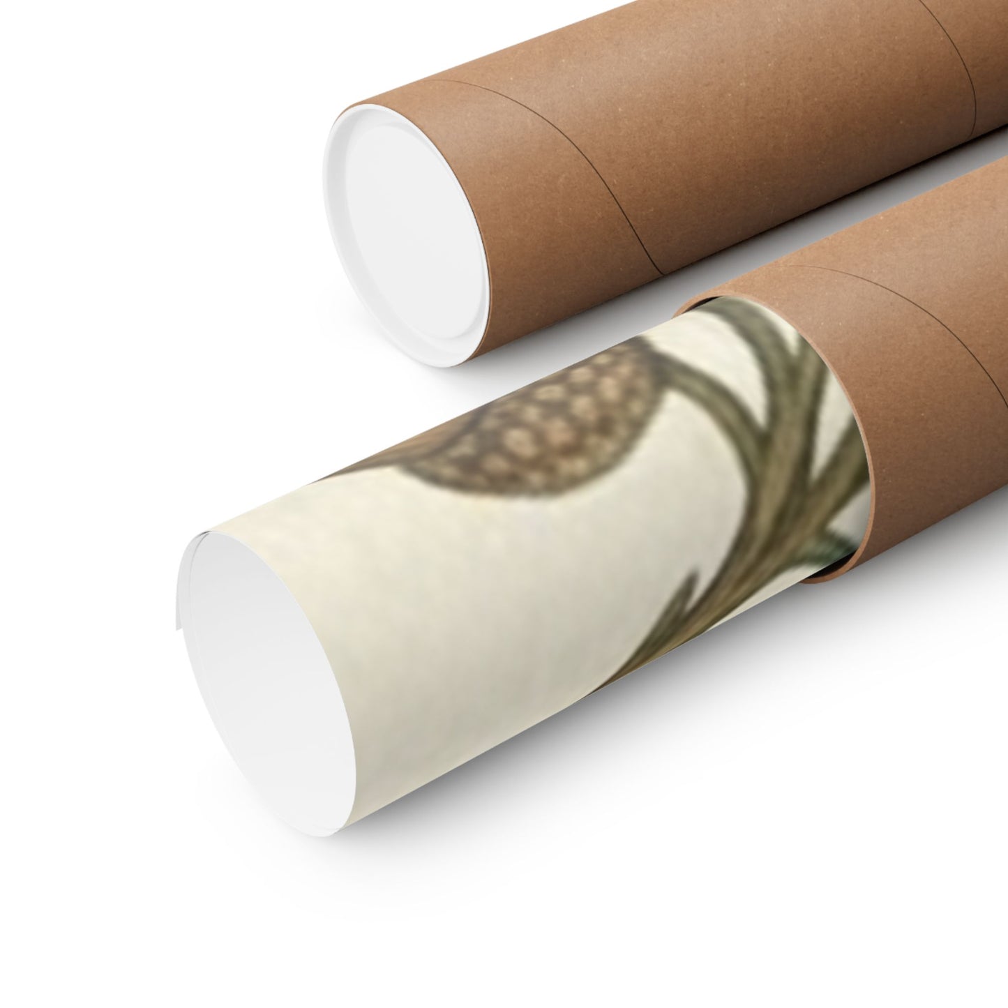 Botanical Oak & Acorns Watercolor Matte Vertical Poster
