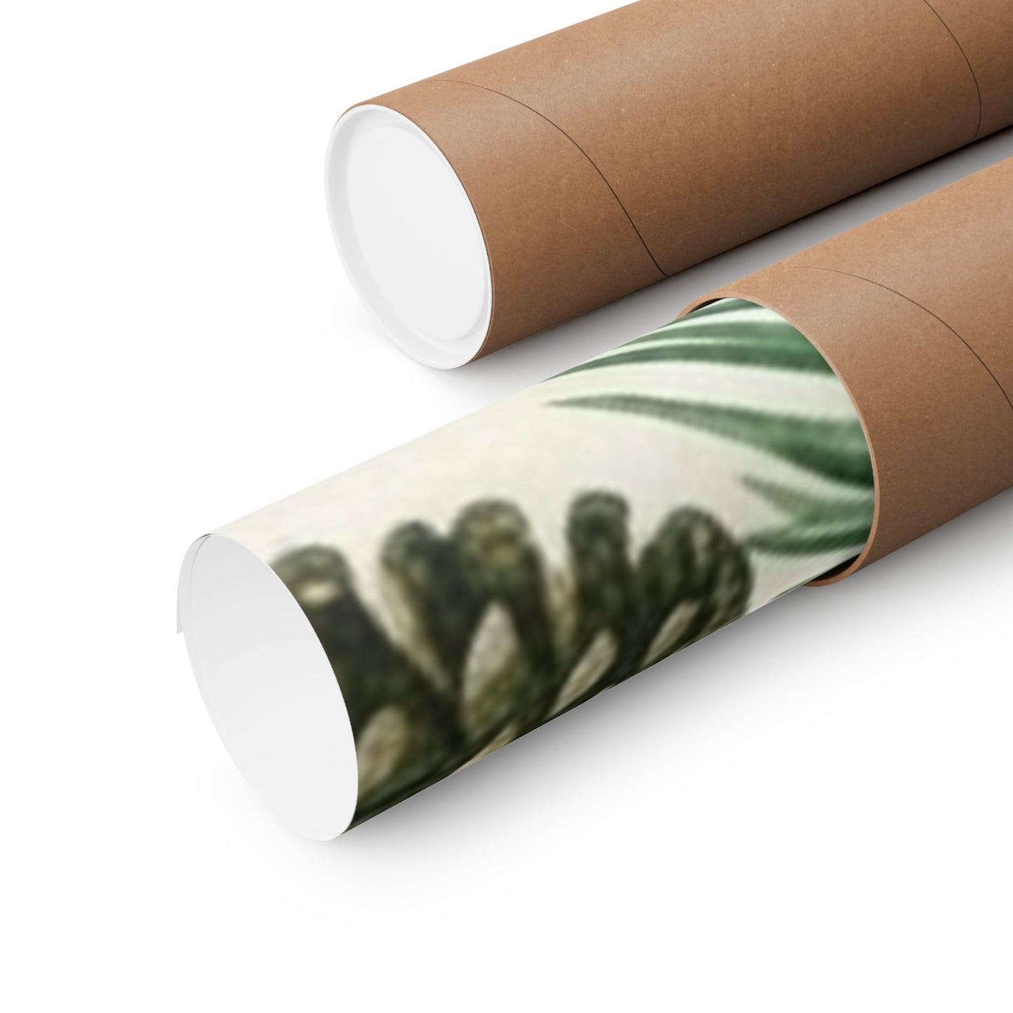 Botanical Pine Frongs Watercolor Matte Vertical Poster