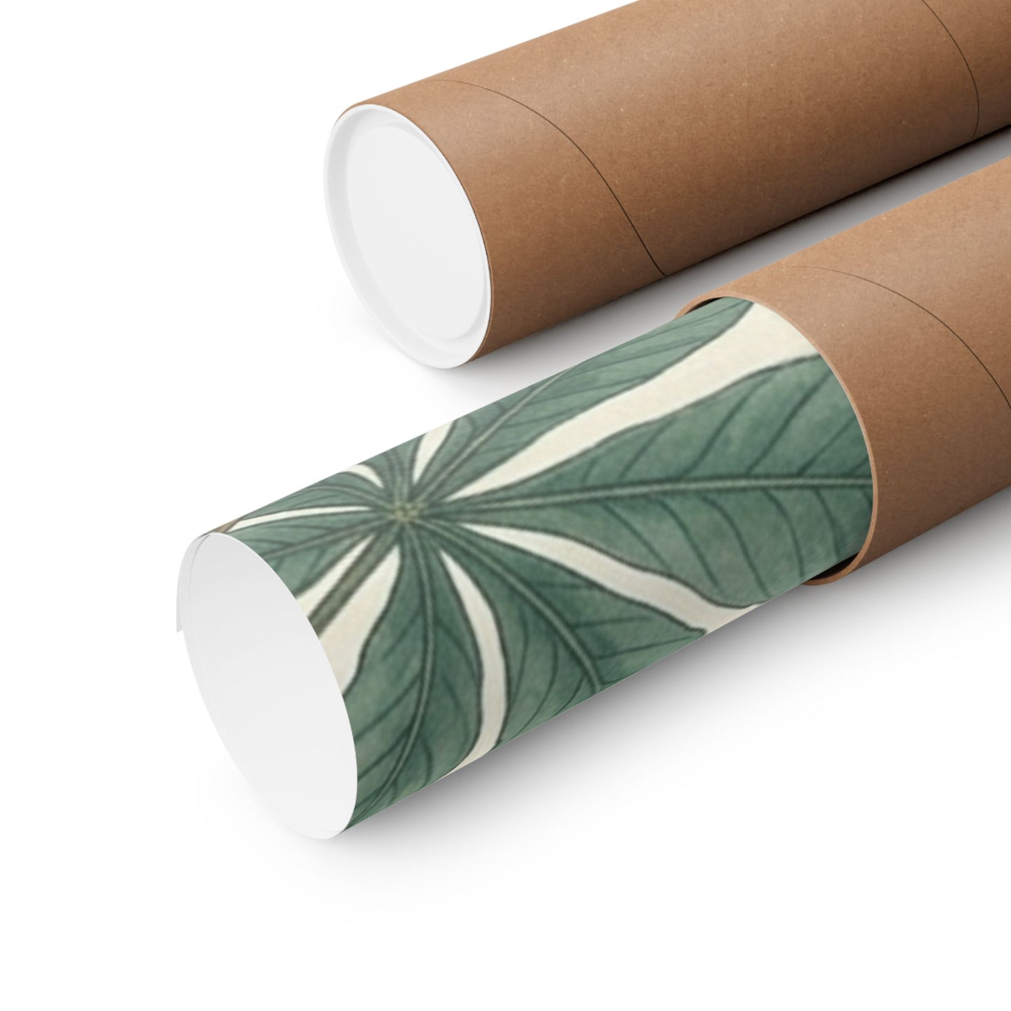 Botanical Conker Watercolor Matte Vertical Poster