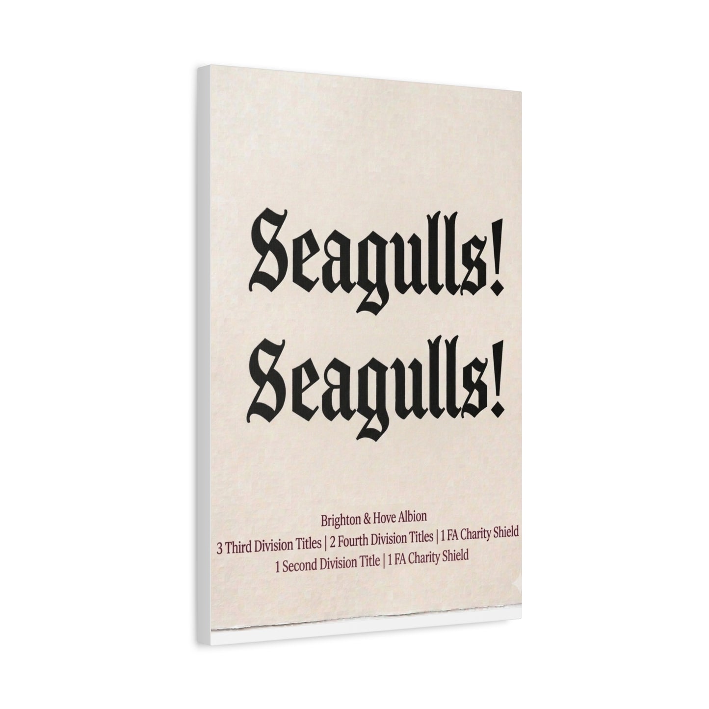 Brighton & Hove 'Seagulls! Seagulls!' Match Day Canvas Print