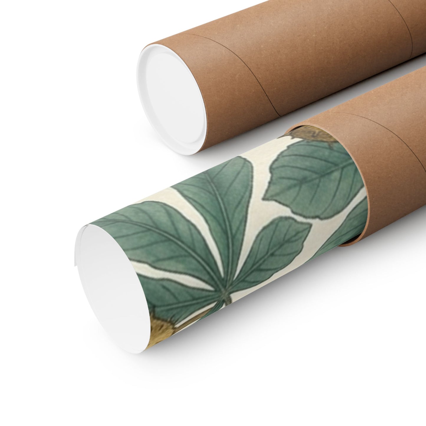 Botanical Conker Watercolor Matte Vertical Poster